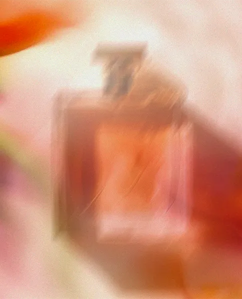 Find Your Scent